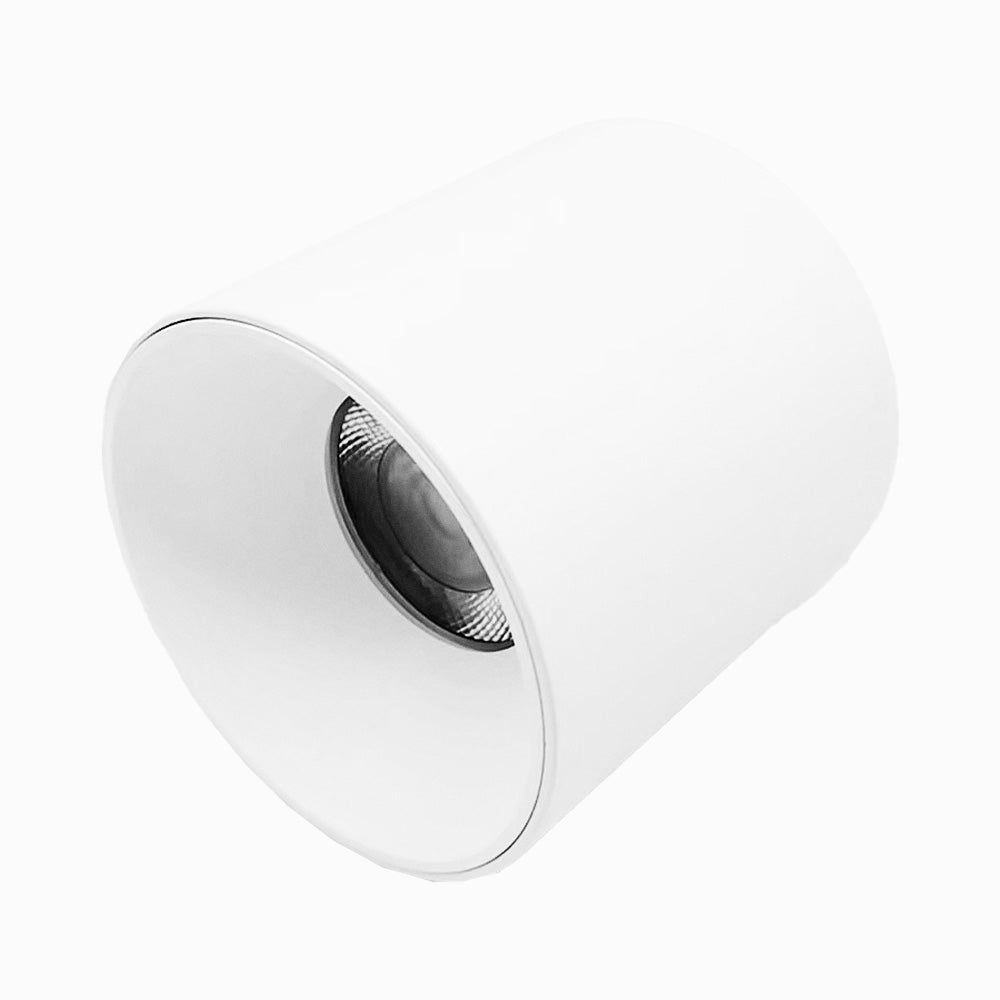 Mason Surface Mount Light