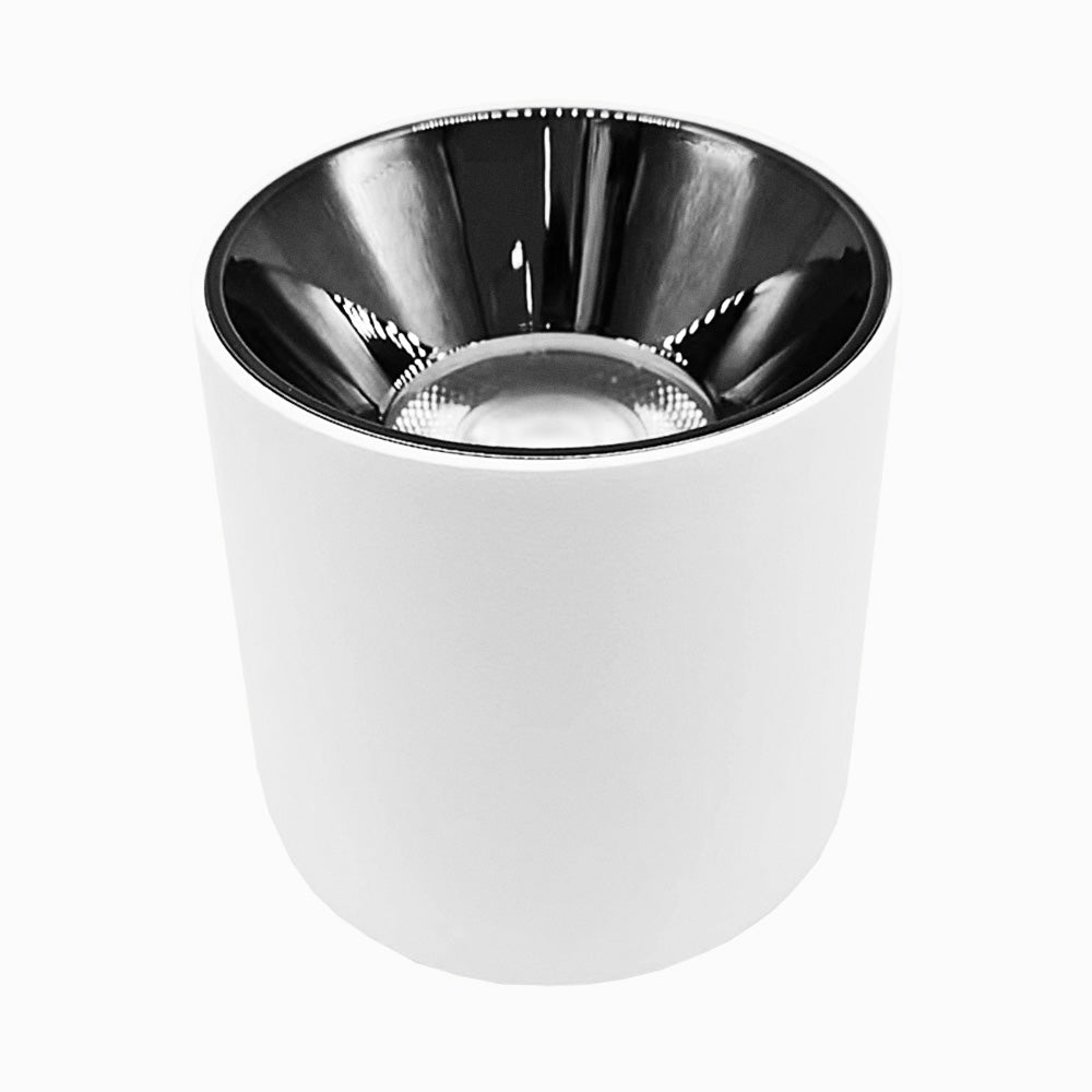 Mason Surface Mount Light