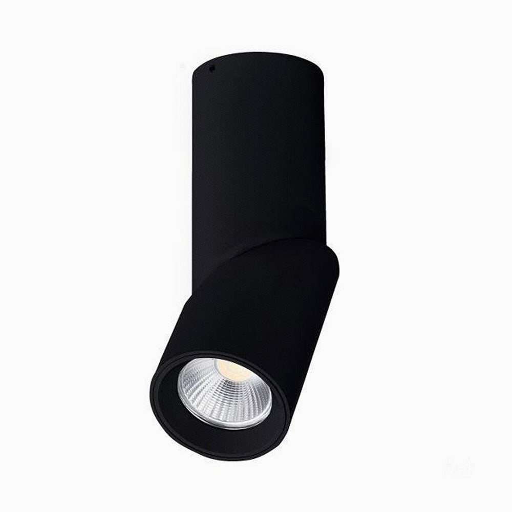 Fenno Surface Mount Light
