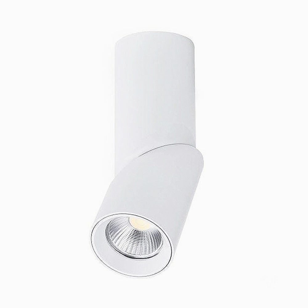 Fenno Surface Mount Light