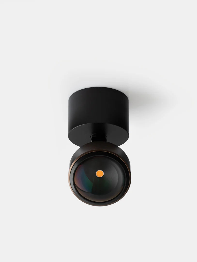 Tilt II Surface Mount Light