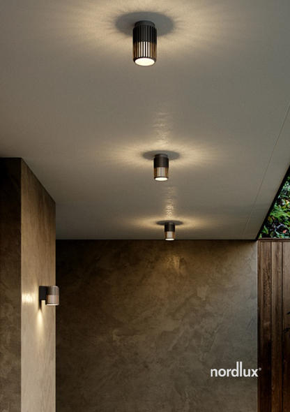 Aludra Ceiling Light