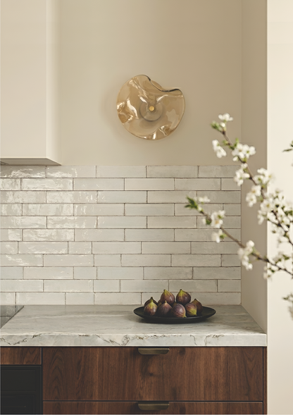 Olindias Wall Light
