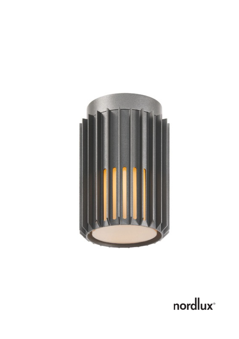 Aludra Ceiling Light
