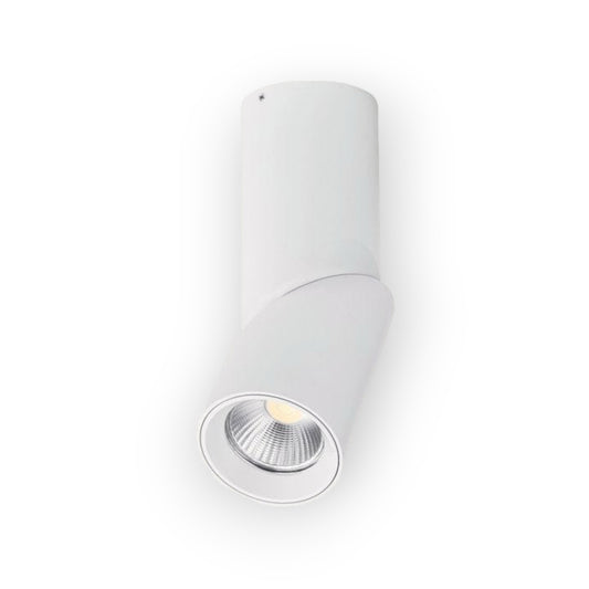 The image features the Fenno Surface Mount Light in a sleek white finish, showcasing a contemporary cylindrical design with an adjustable spotlight for targeted illumination, blending functionality with modern aesthetics.