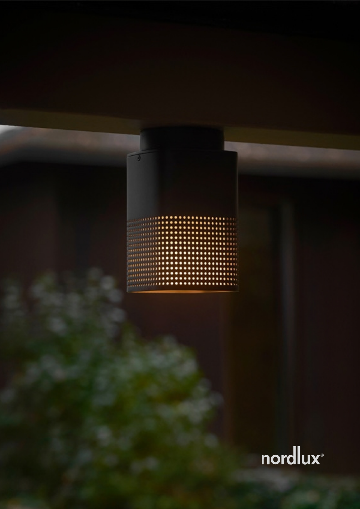 Sidara Ceiling Seaside Light