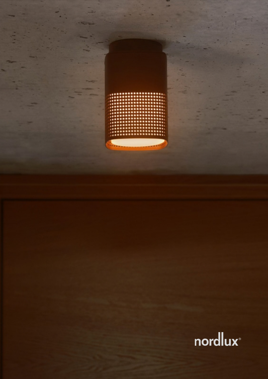 Sidara Ceiling Seaside Light